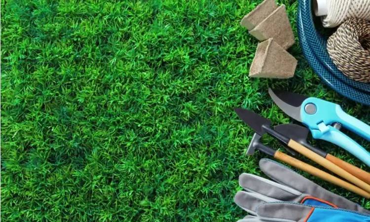 Artificial Turf Grass-10 Tips to Keep Your Artificial Grass Lawn Pristine All Year Round