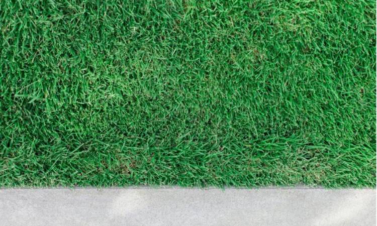 Artificial Turf Lifespan & Maintenance Tips for Dallas - Fort Worth