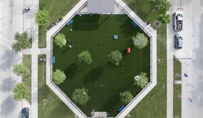 Artificial Turf Installation Around Trees in Dallas-Fort Worth