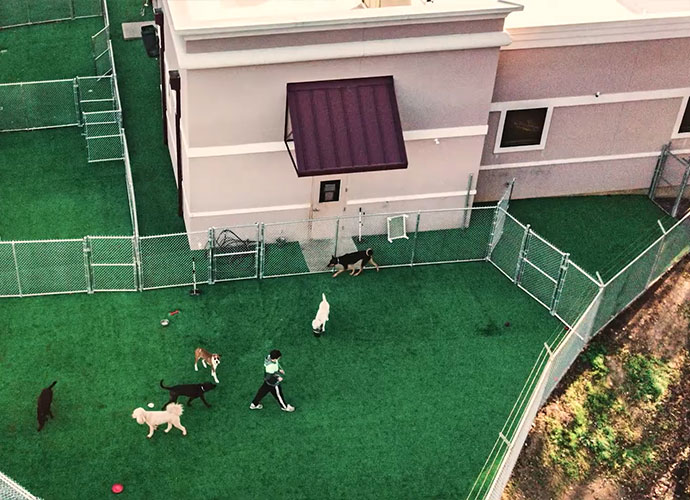 Pets & Turf | Picking Up Waste video thumb