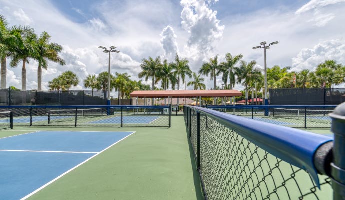 Pickleball Court with Synthetic Grass