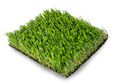 Restoration & Maintenance