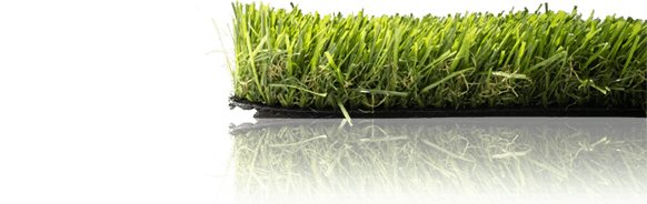 Turf Product Reflection