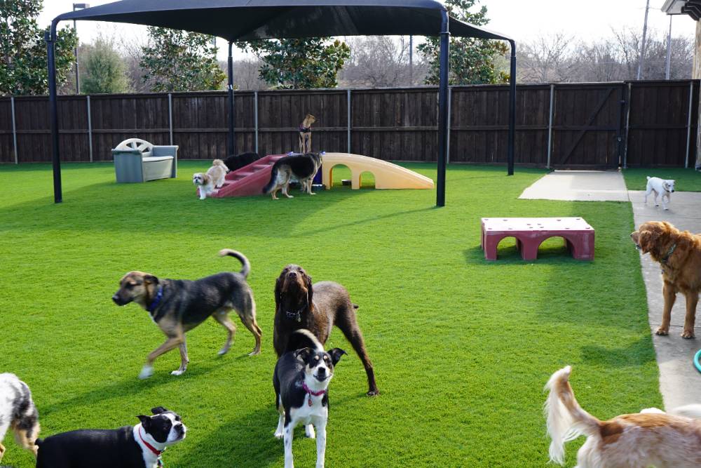 Richter Animal Hospital