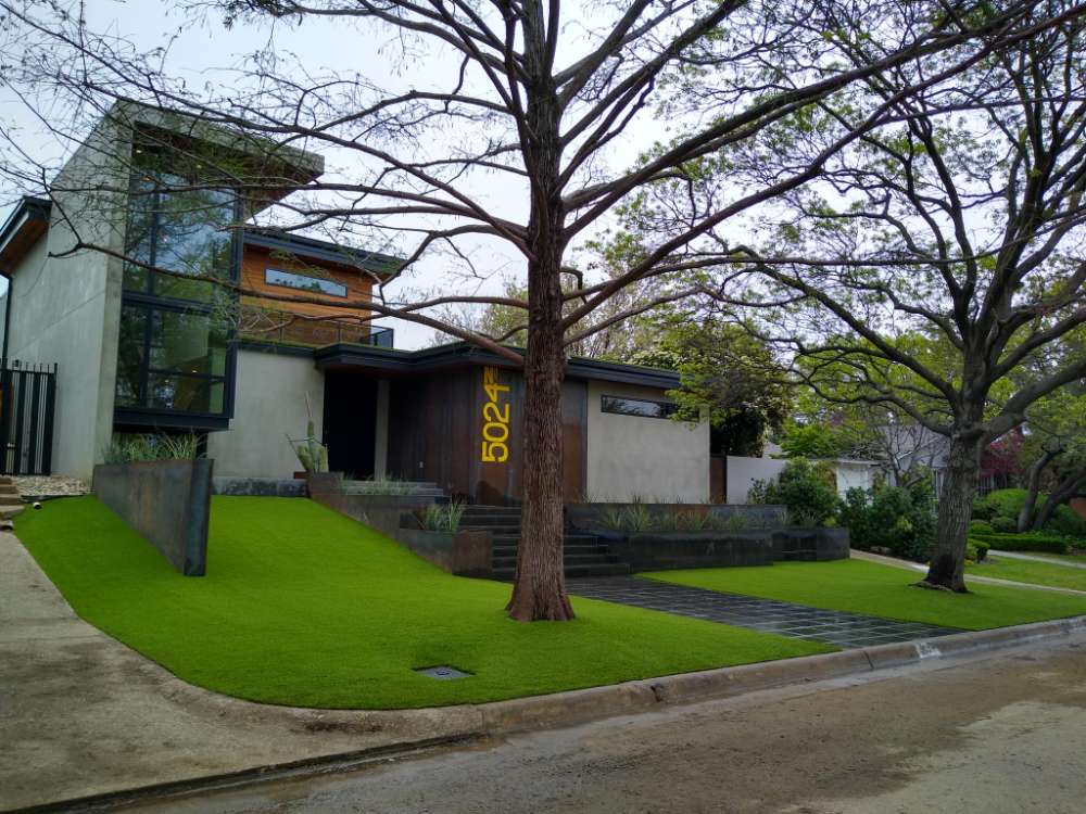 Modern Front Yard