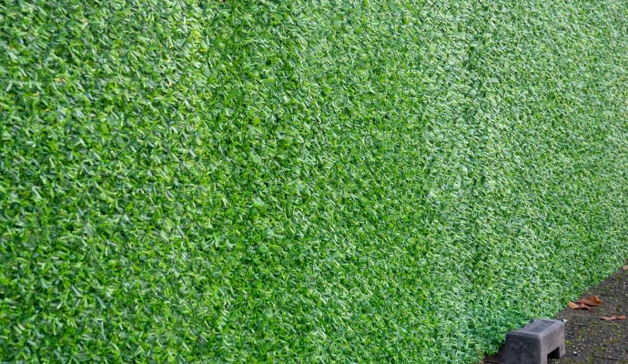 Close-up view of an ivy wall installed artificial grass