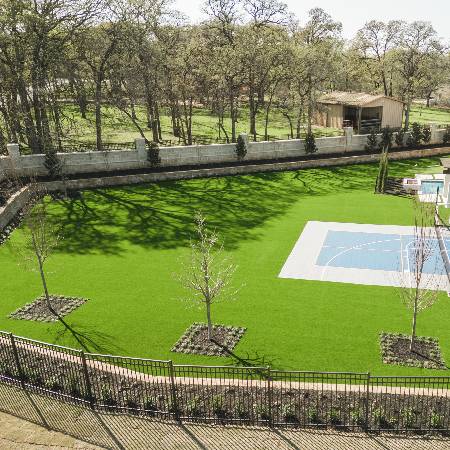 Residential Backyard Field Tree Ring Stone Edging Pool Strips Pergola